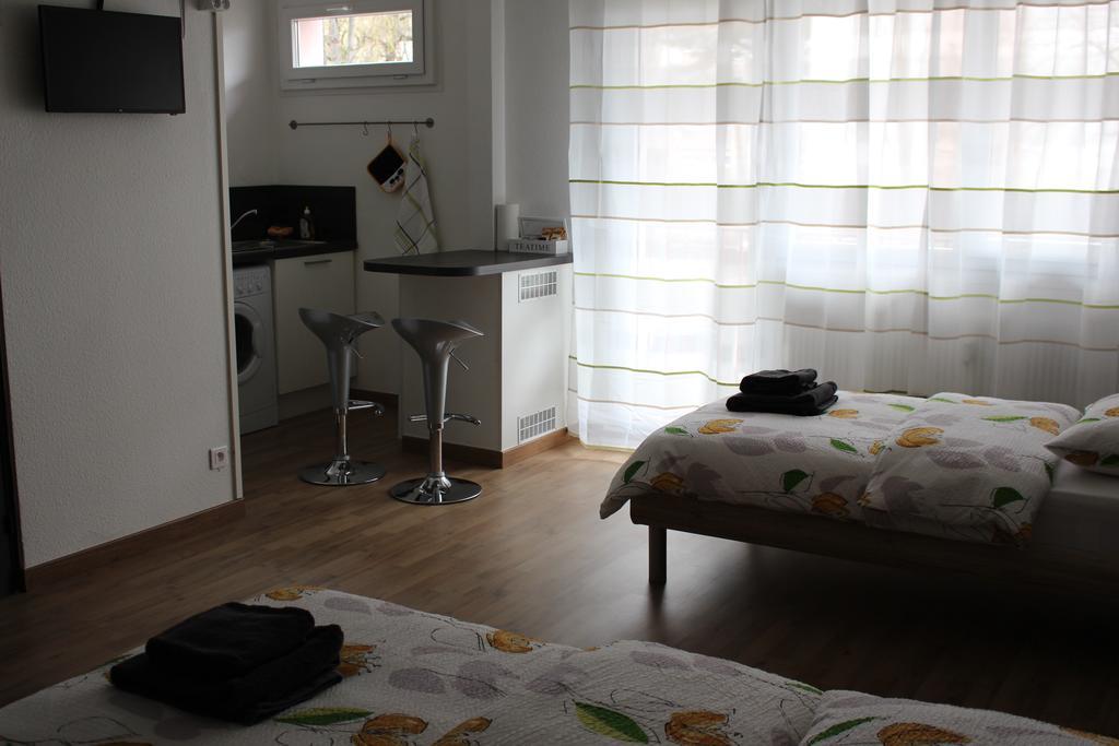 סאן לואיס Studios Near Basel Airport מראה חיצוני תמונה