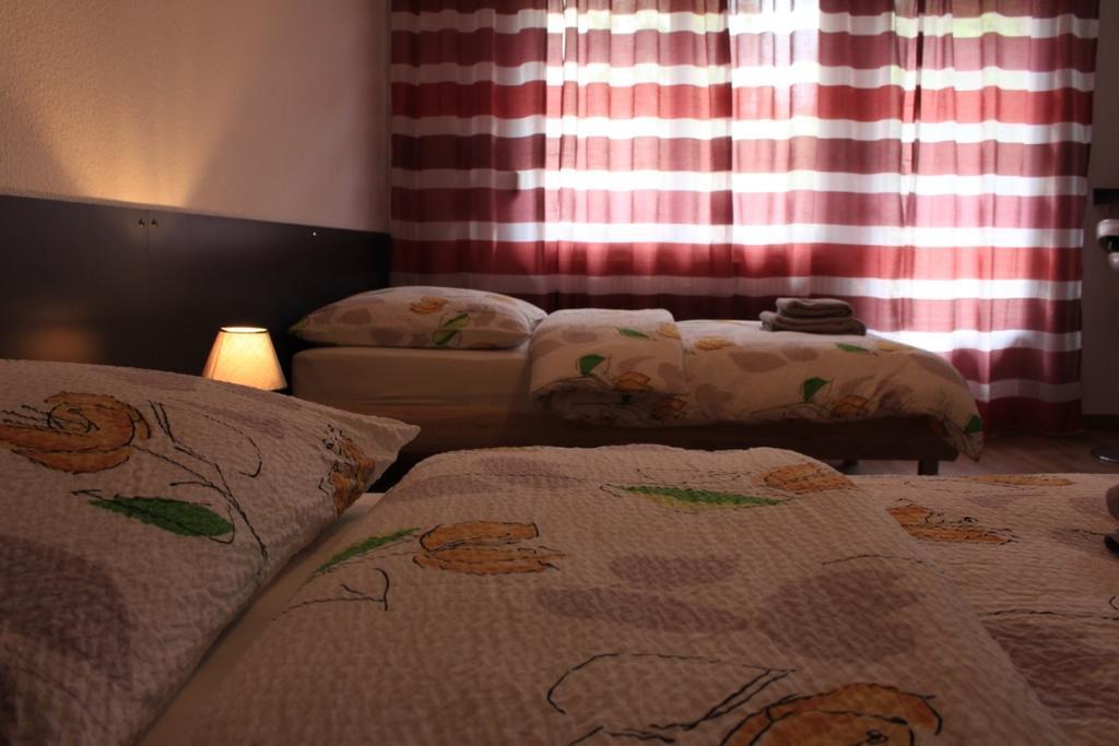 סאן לואיס Studios Near Basel Airport מראה חיצוני תמונה