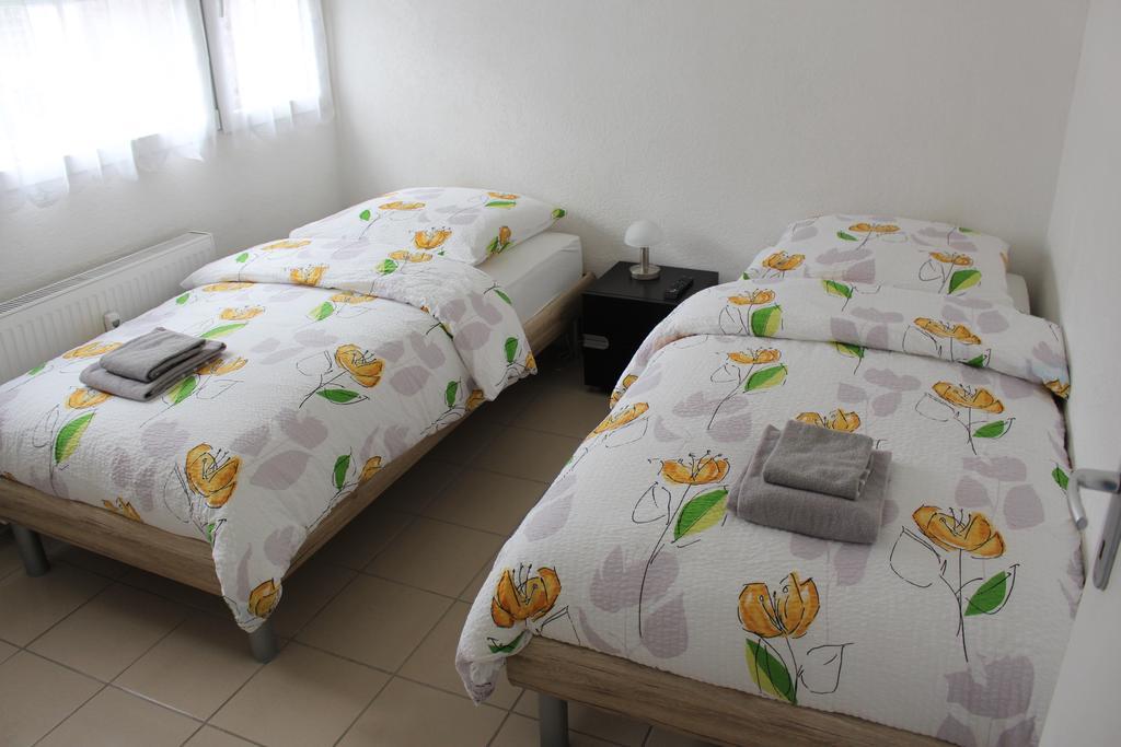 סאן לואיס Studios Near Basel Airport מראה חיצוני תמונה