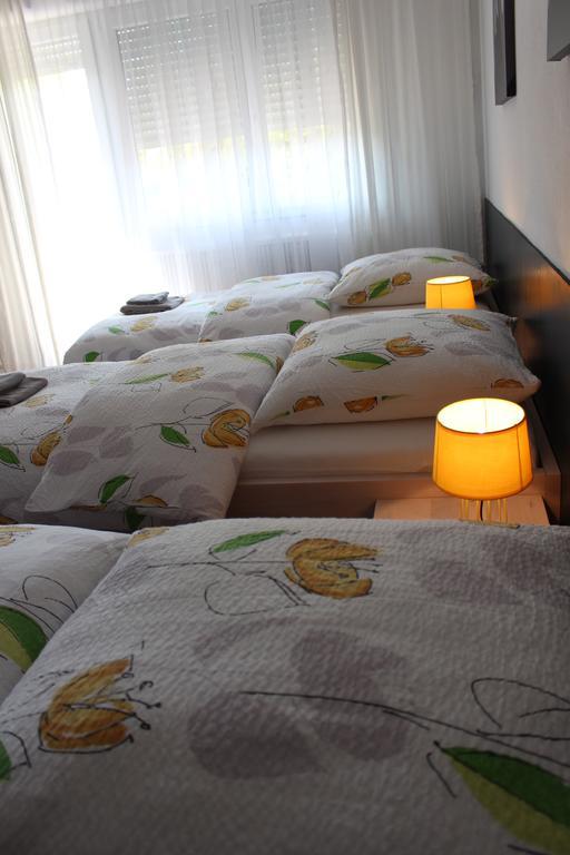 סאן לואיס Studios Near Basel Airport מראה חיצוני תמונה
