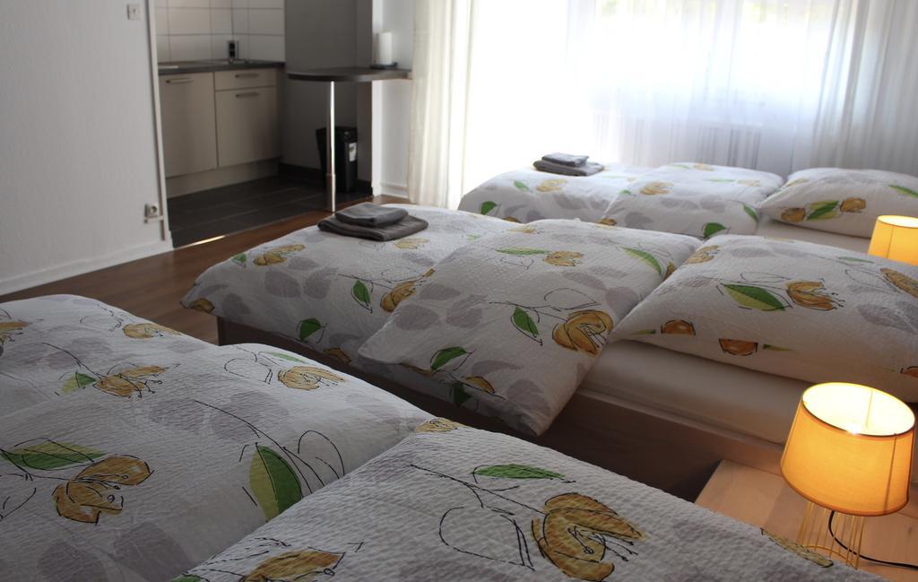 סאן לואיס Studios Near Basel Airport מראה חיצוני תמונה