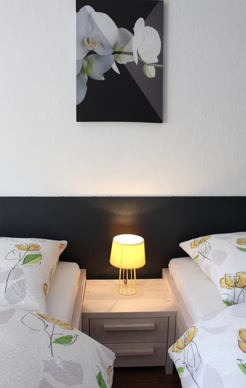 סאן לואיס Studios Near Basel Airport מראה חיצוני תמונה