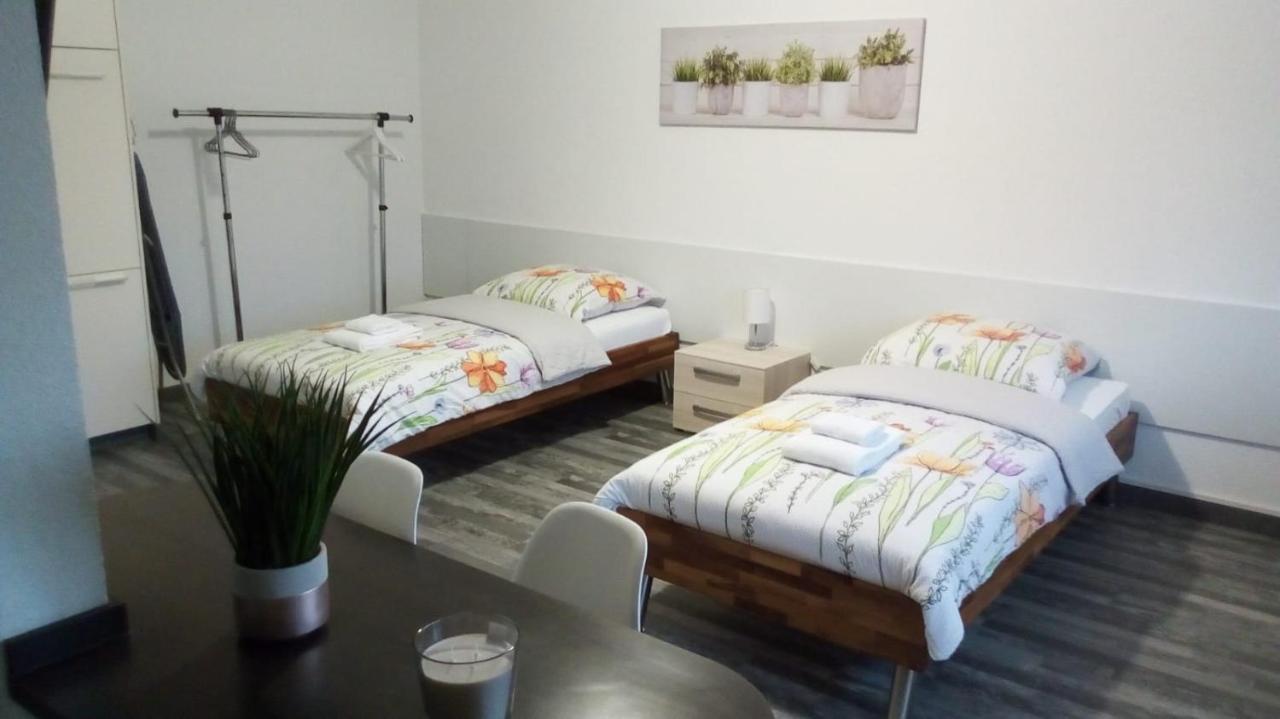 סאן לואיס Studios Near Basel Airport מראה חיצוני תמונה