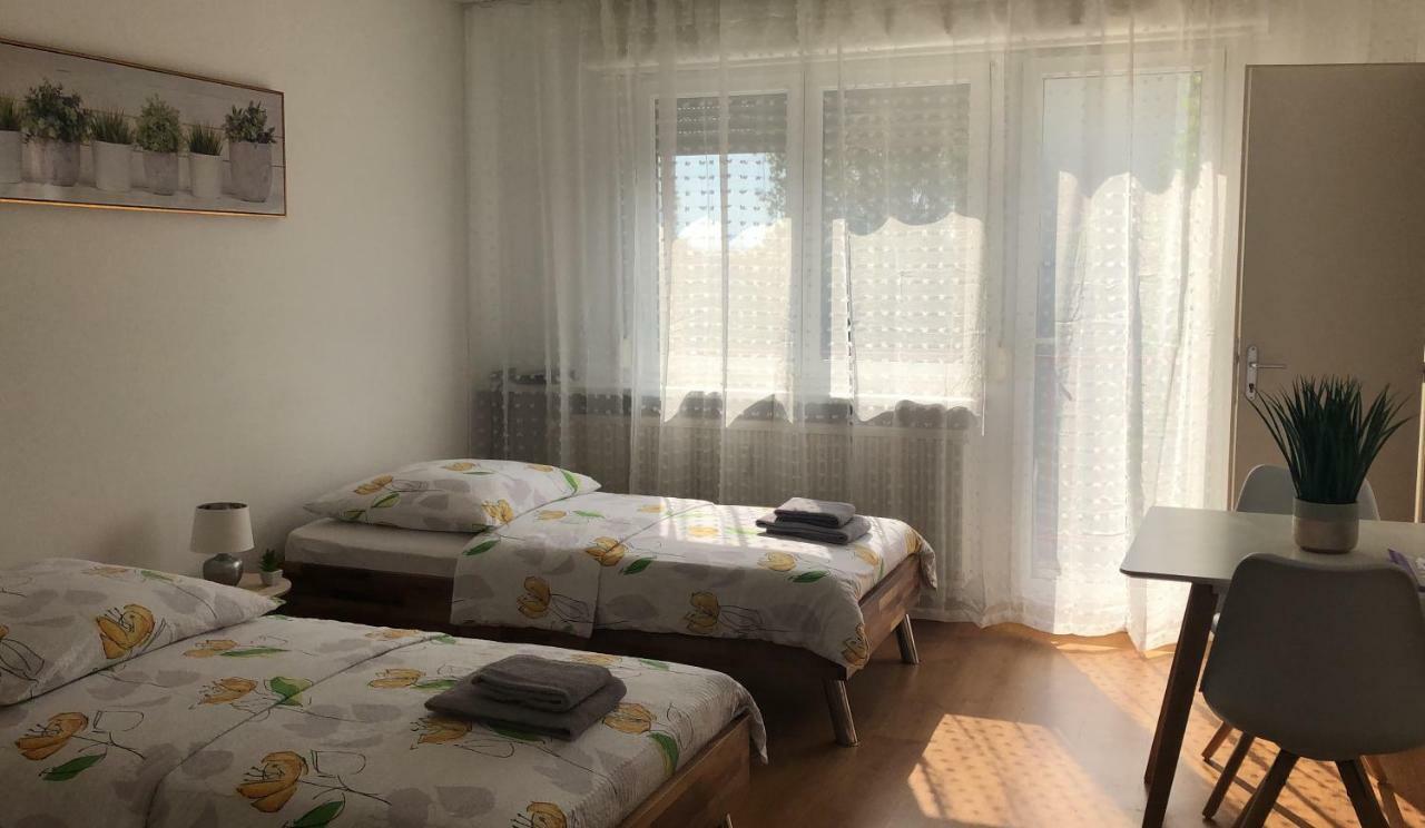 סאן לואיס Studios Near Basel Airport מראה חיצוני תמונה